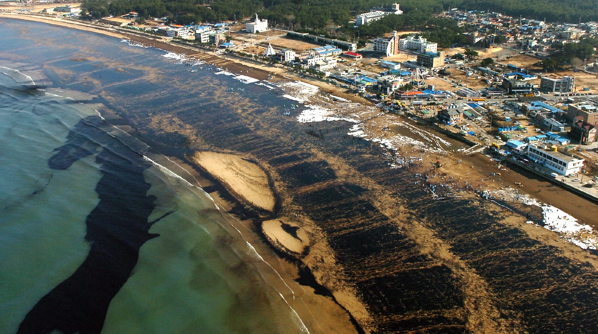 Volunteers remove oil slicks at the time of an oil spill off the coast of Taean